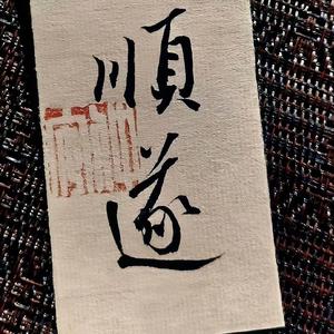 >闭眼听风 头像
