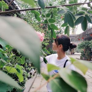 来自魔仙堡的娟头像