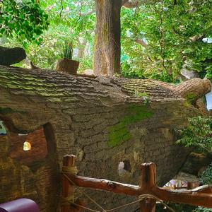 >唐潮达人分享官 头像